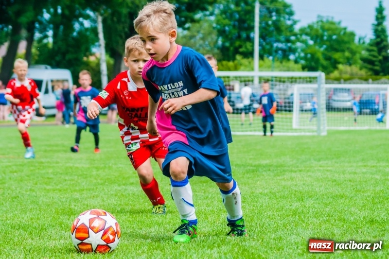 Zdjęcie w galerii na portalu naszraciborz.pl: Tworków Cup 2019. Sobotnia rywalizacja skrzatów za nami [FOTO] wiadomości z regionu
