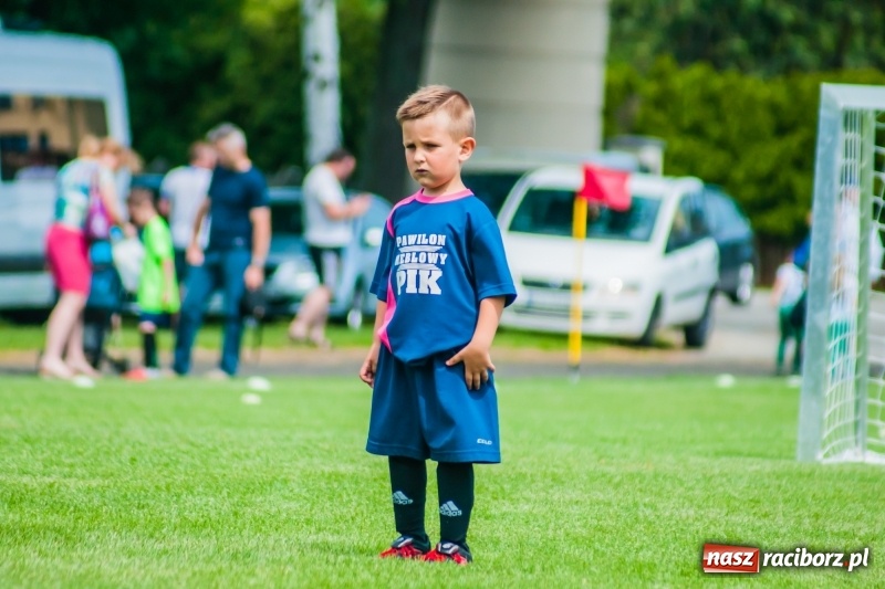 Zdjęcie w galerii na portalu naszraciborz.pl: Tworków Cup 2019. Sobotnia rywalizacja skrzatów za nami [FOTO] wiadomości z regionu