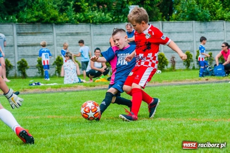Zdjęcie w galerii na portalu naszraciborz.pl: Tworków Cup 2019. Sobotnia rywalizacja skrzatów za nami [FOTO] wiadomości z regionu