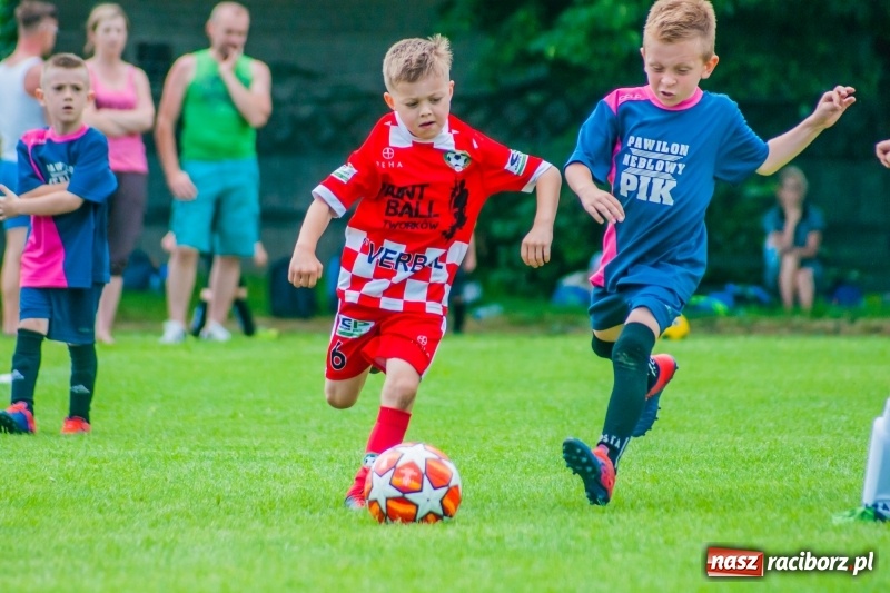 Zdjęcie w galerii na portalu naszraciborz.pl: Tworków Cup 2019. Sobotnia rywalizacja skrzatów za nami [FOTO] wiadomości z regionu