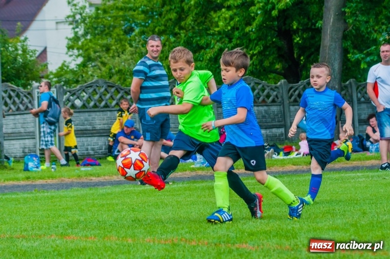 Zdjęcie w galerii na portalu naszraciborz.pl: Tworków Cup 2019. Sobotnia rywalizacja skrzatów za nami [FOTO] wiadomości z regionu