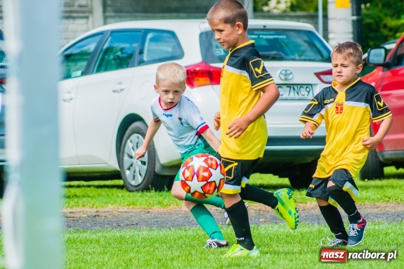 Zdjęcie w galerii na portalu naszraciborz.pl: Tworków Cup 2019. Sobotnia rywalizacja skrzatów za nami [FOTO] wiadomości z regionu