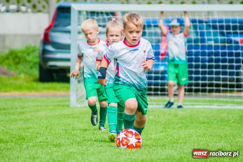 Zdjęcie w galerii na portalu naszraciborz.pl: Tworków Cup 2019. Sobotnia rywalizacja skrzatów za nami [FOTO] wiadomości z regionu