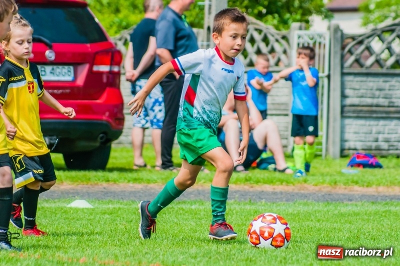 Zdjęcie w galerii na portalu naszraciborz.pl: Tworków Cup 2019. Sobotnia rywalizacja skrzatów za nami [FOTO] wiadomości z regionu