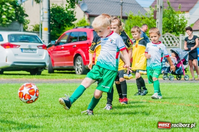 Zdjęcie w galerii na portalu naszraciborz.pl: Tworków Cup 2019. Sobotnia rywalizacja skrzatów za nami [FOTO] wiadomości z regionu