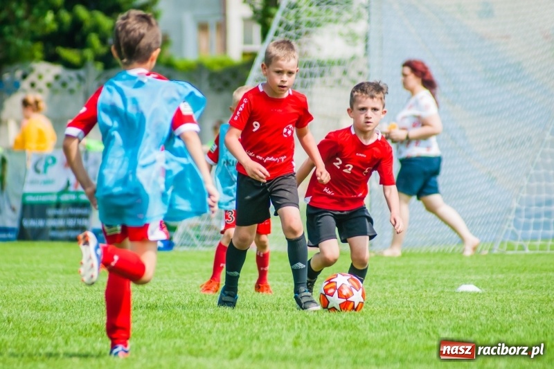 Zdjęcie w galerii na portalu naszraciborz.pl: Tworków Cup 2019. Sobotnia rywalizacja skrzatów za nami [FOTO] wiadomości z regionu