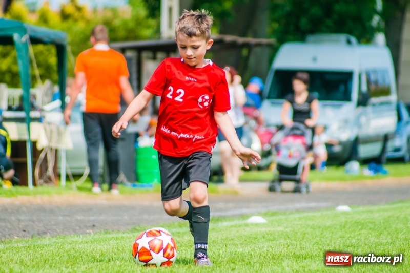 Zdjęcie w galerii na portalu naszraciborz.pl: Tworków Cup 2019. Sobotnia rywalizacja skrzatów za nami [FOTO] wiadomości z regionu