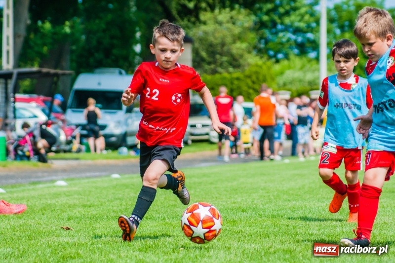 Zdjęcie w galerii na portalu naszraciborz.pl: Tworków Cup 2019. Sobotnia rywalizacja skrzatów za nami [FOTO] wiadomości z regionu