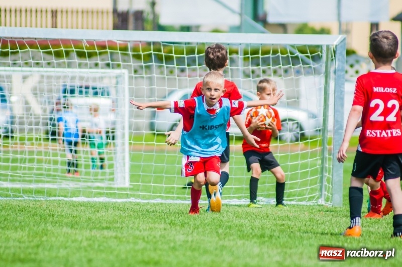 Zdjęcie w galerii na portalu naszraciborz.pl: Tworków Cup 2019. Sobotnia rywalizacja skrzatów za nami [FOTO] wiadomości z regionu