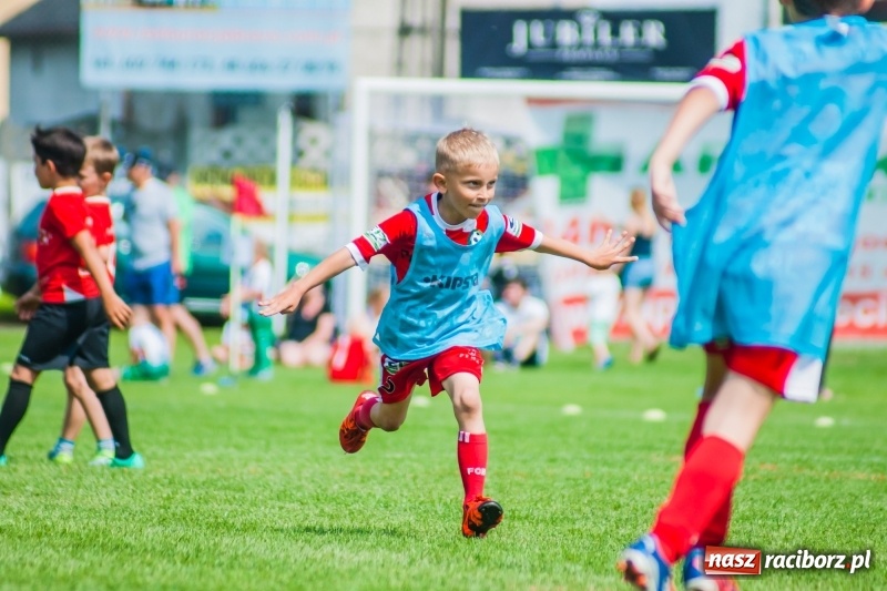 Zdjęcie w galerii na portalu naszraciborz.pl: Tworków Cup 2019. Sobotnia rywalizacja skrzatów za nami [FOTO] wiadomości z regionu