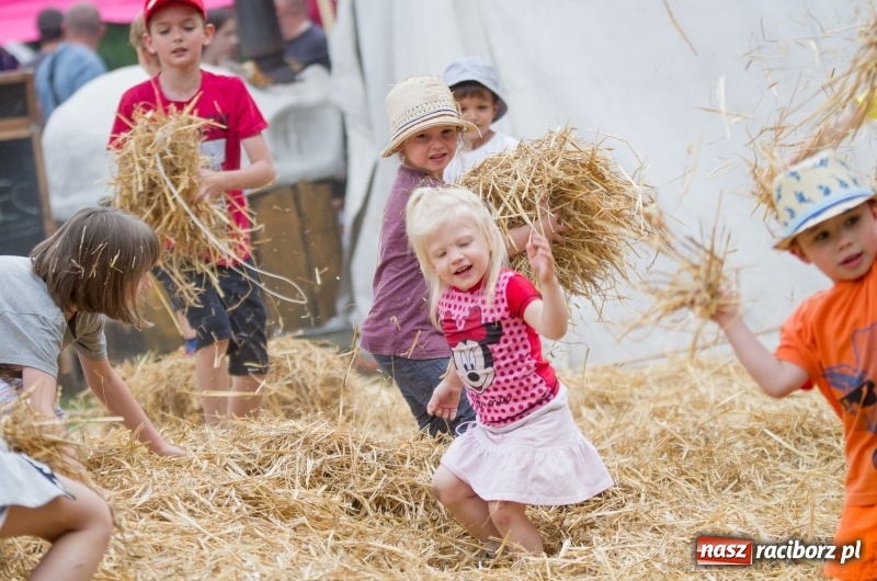 Zdjęcie w galerii na portalu naszraciborz.pl: Wielka bitwa wojów na polach przez Oborą [FOTO i WIDEO] wiadomości z regionu