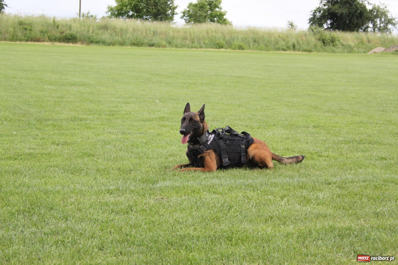Zdjęcie w galerii na portalu naszraciborz.pl: Niezłomny strażak - rywalizacja w Wojnowicach [FOTO i WIDEO] wiadomości z regionu