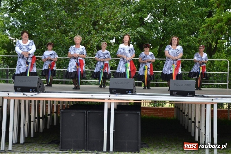 Zdjęcie w galerii na portalu naszraciborz.pl: Węgrzy, Słowacy i Ukraińcy zatańczyli na zamku  wiadomości z regionu