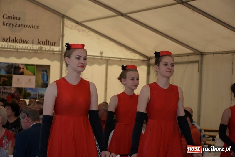 Zdjęcie w galerii na portalu naszraciborz.pl: Jest w orkiestrach dętych wielka siła. Przemarsz przez Tworków [WIDEO]  wiadomości z regionu