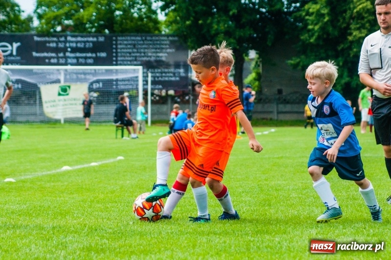 Zdjęcie w galerii na portalu naszraciborz.pl: Akademia Piłkarska GKS Jastrzębie zwycięzcą drugiego dnia Tworków Cup 2019 [FOTO] wiadomości z regionu