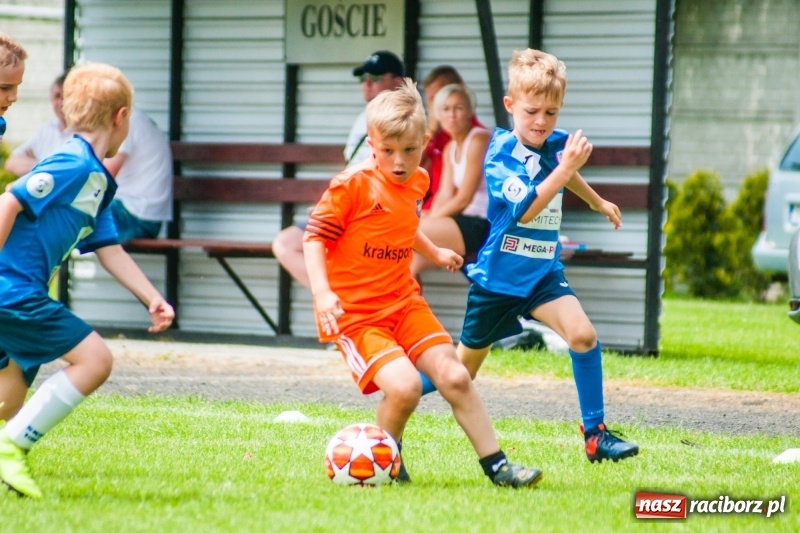 Zdjęcie w galerii na portalu naszraciborz.pl: Akademia Piłkarska GKS Jastrzębie zwycięzcą drugiego dnia Tworków Cup 2019 [FOTO] wiadomości z regionu