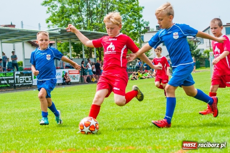 Zdjęcie w galerii na portalu naszraciborz.pl: Akademia Piłkarska GKS Jastrzębie zwycięzcą drugiego dnia Tworków Cup 2019 [FOTO] wiadomości z regionu