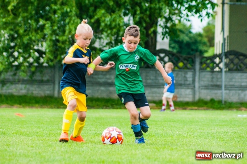 Zdjęcie w galerii na portalu naszraciborz.pl: Akademia Piłkarska GKS Jastrzębie zwycięzcą drugiego dnia Tworków Cup 2019 [FOTO] wiadomości z regionu