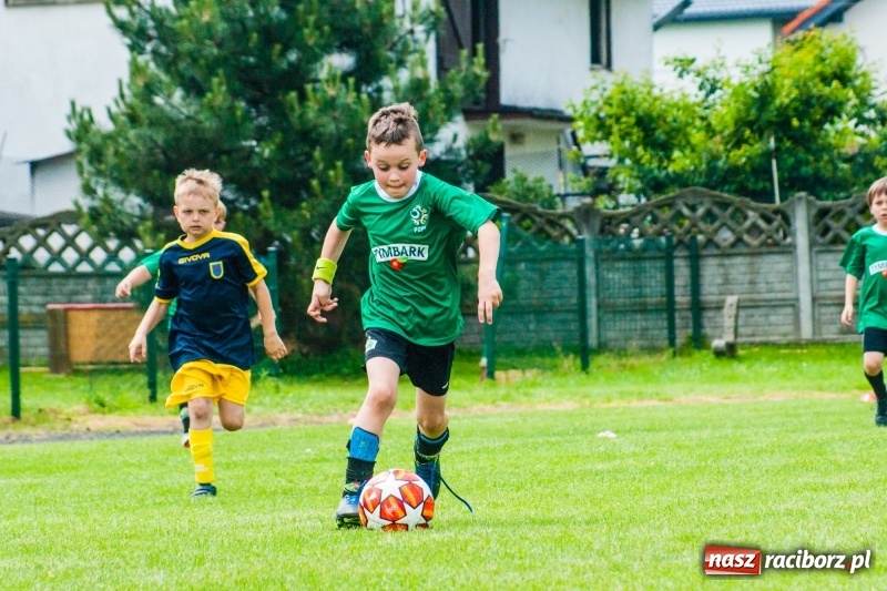 Zdjęcie w galerii na portalu naszraciborz.pl: Akademia Piłkarska GKS Jastrzębie zwycięzcą drugiego dnia Tworków Cup 2019 [FOTO] wiadomości z regionu