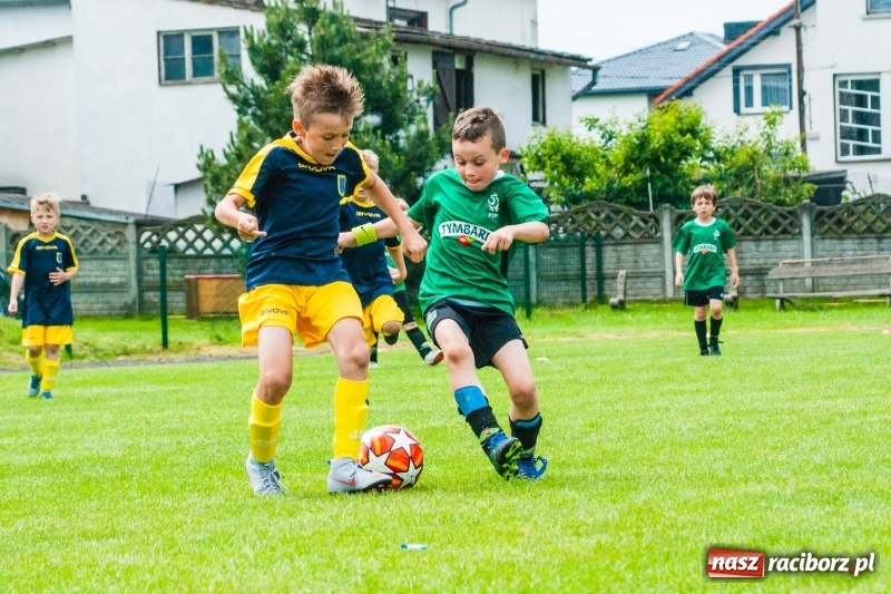 Zdjęcie w galerii na portalu naszraciborz.pl: Akademia Piłkarska GKS Jastrzębie zwycięzcą drugiego dnia Tworków Cup 2019 [FOTO] wiadomości z regionu