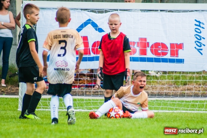 Zdjęcie w galerii na portalu naszraciborz.pl: Akademia Piłkarska GKS Jastrzębie zwycięzcą drugiego dnia Tworków Cup 2019 [FOTO] wiadomości z regionu