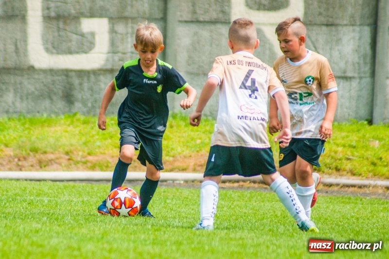 Zdjęcie w galerii na portalu naszraciborz.pl: Akademia Piłkarska GKS Jastrzębie zwycięzcą drugiego dnia Tworków Cup 2019 [FOTO] wiadomości z regionu