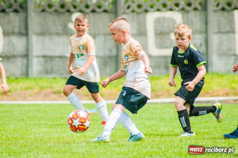 Zdjęcie w galerii na portalu naszraciborz.pl: Akademia Piłkarska GKS Jastrzębie zwycięzcą drugiego dnia Tworków Cup 2019 [FOTO] wiadomości z regionu