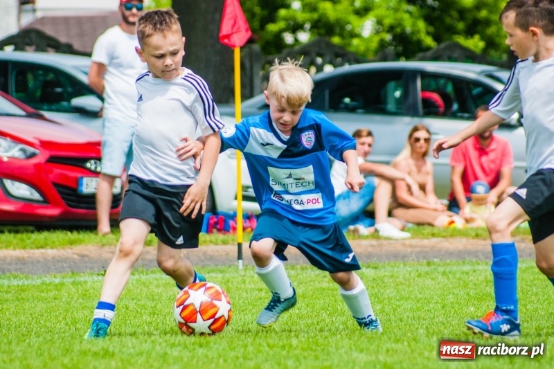 Zdjęcie w galerii na portalu naszraciborz.pl: Akademia Piłkarska GKS Jastrzębie zwycięzcą drugiego dnia Tworków Cup 2019 [FOTO] wiadomości z regionu