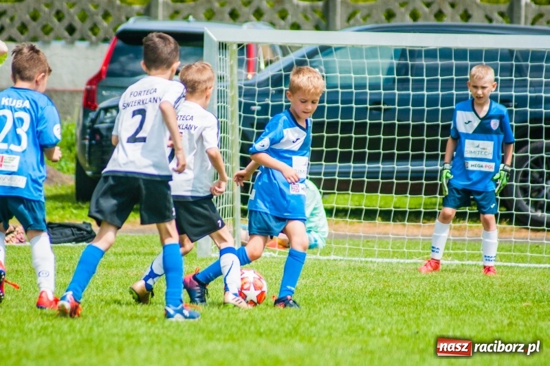 Zdjęcie w galerii na portalu naszraciborz.pl: Akademia Piłkarska GKS Jastrzębie zwycięzcą drugiego dnia Tworków Cup 2019 [FOTO] wiadomości z regionu