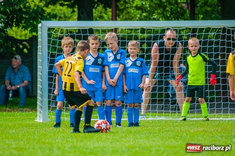 Zdjęcie w galerii na portalu naszraciborz.pl: Akademia Piłkarska GKS Jastrzębie zwycięzcą drugiego dnia Tworków Cup 2019 [FOTO] wiadomości z regionu