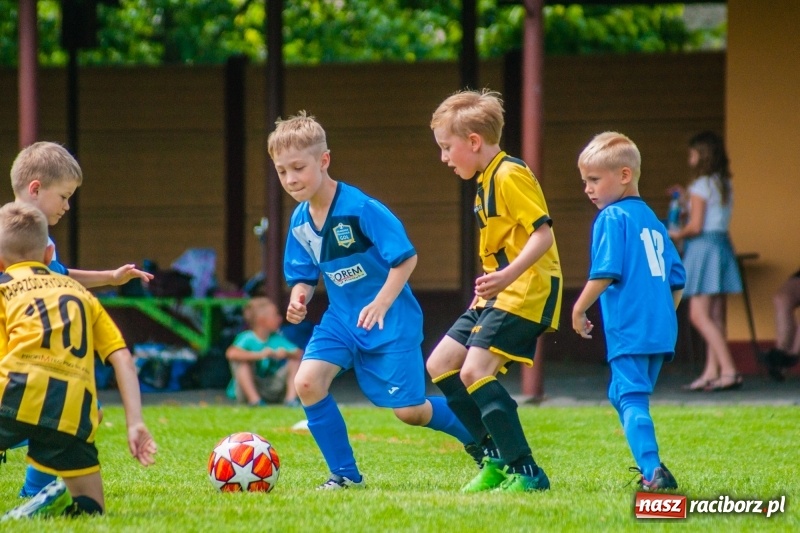 Zdjęcie w galerii na portalu naszraciborz.pl: Akademia Piłkarska GKS Jastrzębie zwycięzcą drugiego dnia Tworków Cup 2019 [FOTO] wiadomości z regionu