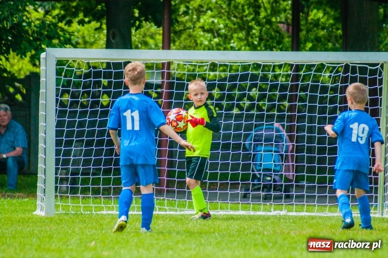 Zdjęcie w galerii na portalu naszraciborz.pl: Akademia Piłkarska GKS Jastrzębie zwycięzcą drugiego dnia Tworków Cup 2019 [FOTO] wiadomości z regionu