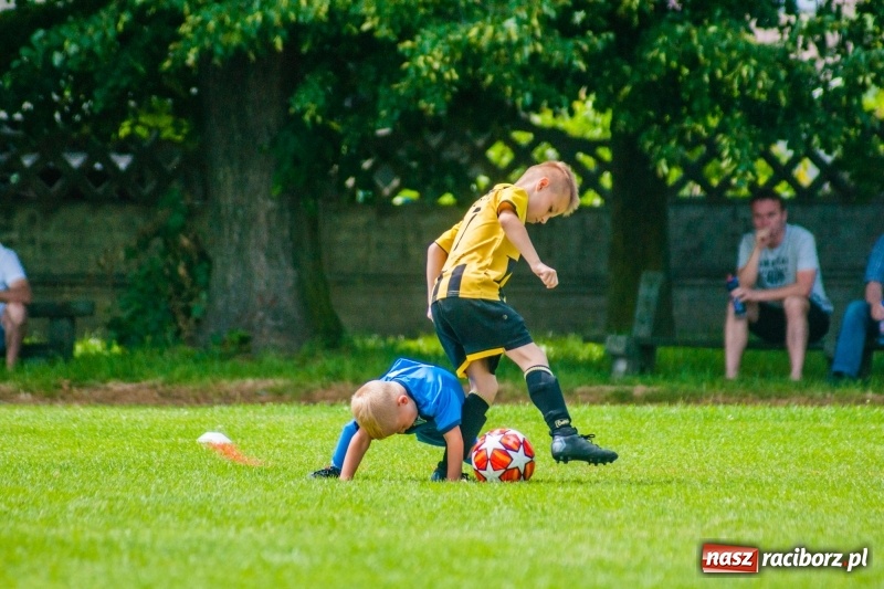 Zdjęcie w galerii na portalu naszraciborz.pl: Akademia Piłkarska GKS Jastrzębie zwycięzcą drugiego dnia Tworków Cup 2019 [FOTO] wiadomości z regionu