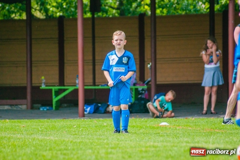 Zdjęcie w galerii na portalu naszraciborz.pl: Akademia Piłkarska GKS Jastrzębie zwycięzcą drugiego dnia Tworków Cup 2019 [FOTO] wiadomości z regionu