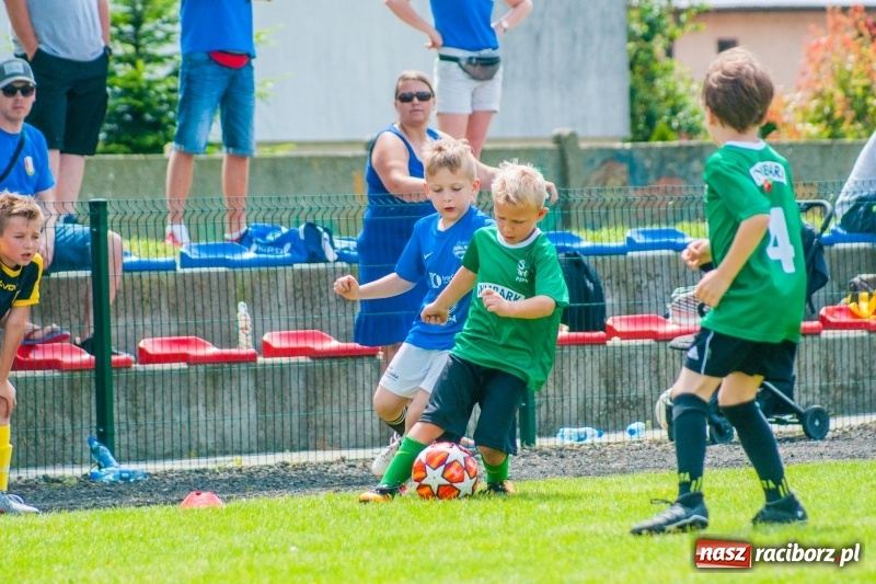 Zdjęcie w galerii na portalu naszraciborz.pl: Akademia Piłkarska GKS Jastrzębie zwycięzcą drugiego dnia Tworków Cup 2019 [FOTO] wiadomości z regionu