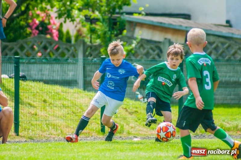 Zdjęcie w galerii na portalu naszraciborz.pl: Akademia Piłkarska GKS Jastrzębie zwycięzcą drugiego dnia Tworków Cup 2019 [FOTO] wiadomości z regionu