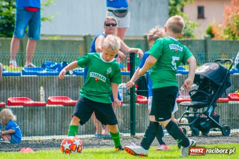 Zdjęcie w galerii na portalu naszraciborz.pl: Akademia Piłkarska GKS Jastrzębie zwycięzcą drugiego dnia Tworków Cup 2019 [FOTO] wiadomości z regionu