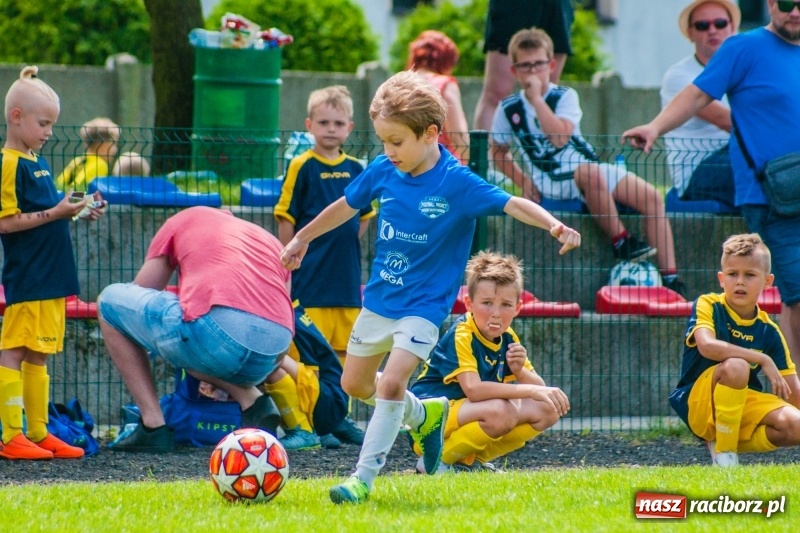 Zdjęcie w galerii na portalu naszraciborz.pl: Akademia Piłkarska GKS Jastrzębie zwycięzcą drugiego dnia Tworków Cup 2019 [FOTO] wiadomości z regionu