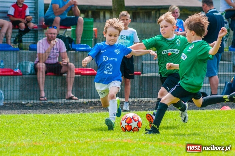 Zdjęcie w galerii na portalu naszraciborz.pl: Akademia Piłkarska GKS Jastrzębie zwycięzcą drugiego dnia Tworków Cup 2019 [FOTO] wiadomości z regionu