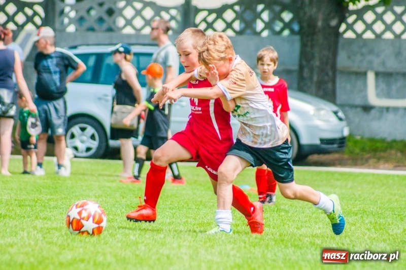 Zdjęcie w galerii na portalu naszraciborz.pl: Akademia Piłkarska GKS Jastrzębie zwycięzcą drugiego dnia Tworków Cup 2019 [FOTO] wiadomości z regionu