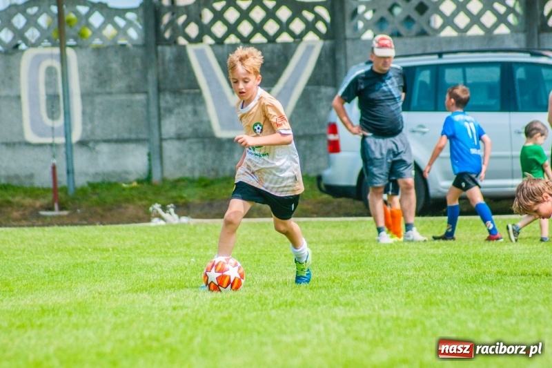 Zdjęcie w galerii na portalu naszraciborz.pl: Akademia Piłkarska GKS Jastrzębie zwycięzcą drugiego dnia Tworków Cup 2019 [FOTO] wiadomości z regionu