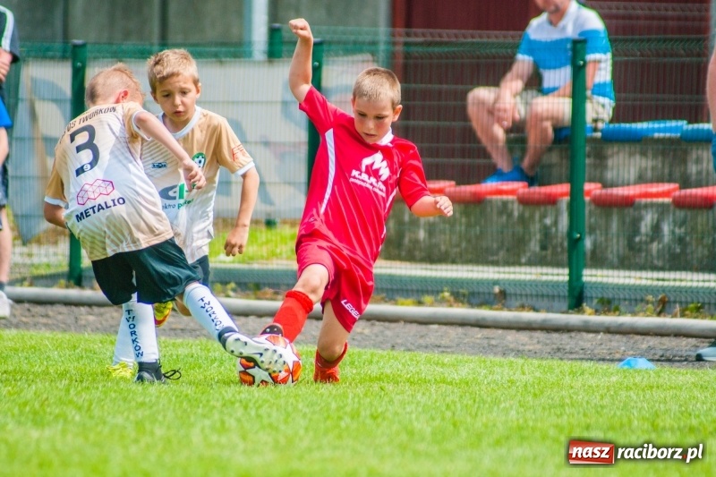 Zdjęcie w galerii na portalu naszraciborz.pl: Akademia Piłkarska GKS Jastrzębie zwycięzcą drugiego dnia Tworków Cup 2019 [FOTO] wiadomości z regionu