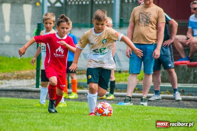 Zdjęcie w galerii na portalu naszraciborz.pl: Akademia Piłkarska GKS Jastrzębie zwycięzcą drugiego dnia Tworków Cup 2019 [FOTO] wiadomości z regionu