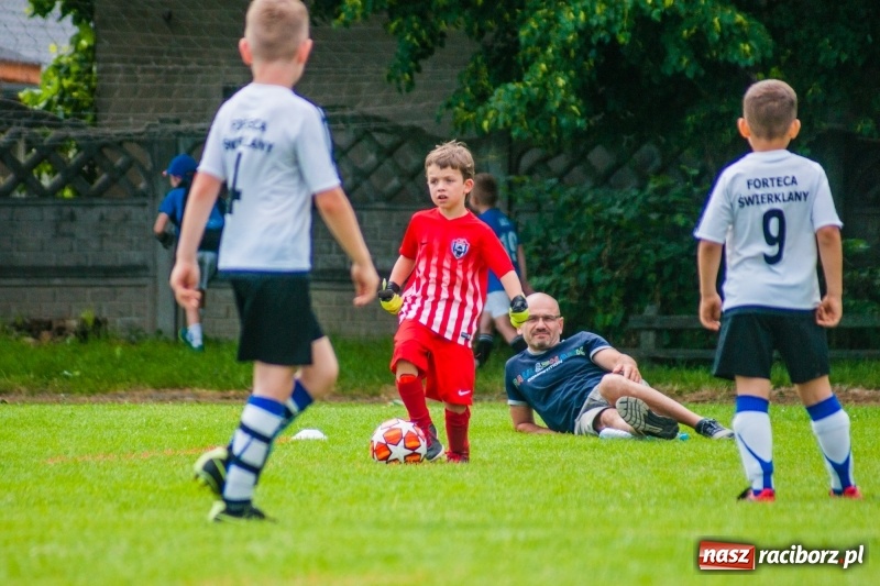 Zdjęcie w galerii na portalu naszraciborz.pl: Akademia Piłkarska GKS Jastrzębie zwycięzcą drugiego dnia Tworków Cup 2019 [FOTO] wiadomości z regionu