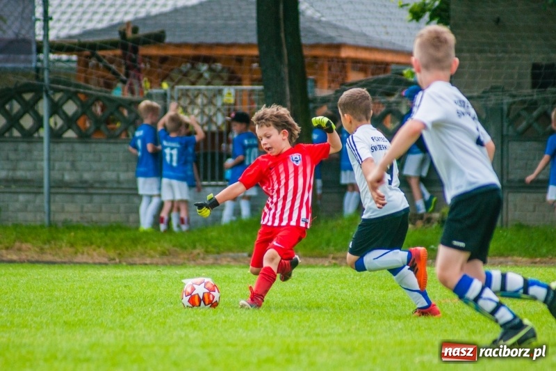 Zdjęcie w galerii na portalu naszraciborz.pl: Akademia Piłkarska GKS Jastrzębie zwycięzcą drugiego dnia Tworków Cup 2019 [FOTO] wiadomości z regionu