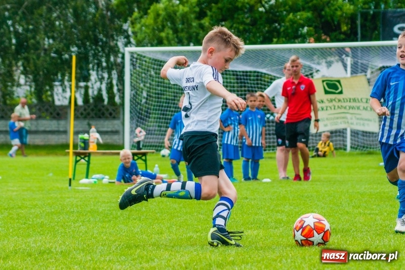 Zdjęcie w galerii na portalu naszraciborz.pl: Akademia Piłkarska GKS Jastrzębie zwycięzcą drugiego dnia Tworków Cup 2019 [FOTO] wiadomości z regionu