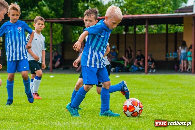 Zdjęcie w galerii na portalu naszraciborz.pl: Akademia Piłkarska GKS Jastrzębie zwycięzcą drugiego dnia Tworków Cup 2019 [FOTO] wiadomości z regionu