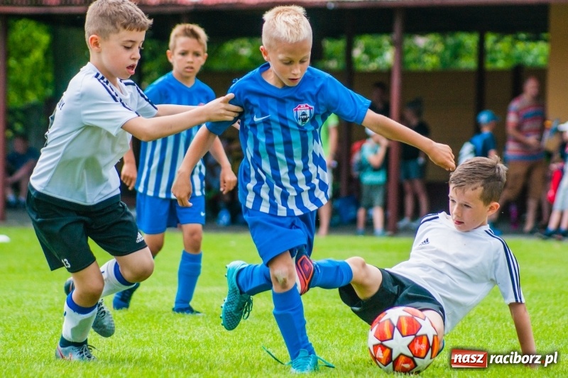 Zdjęcie w galerii na portalu naszraciborz.pl: Akademia Piłkarska GKS Jastrzębie zwycięzcą drugiego dnia Tworków Cup 2019 [FOTO] wiadomości z regionu