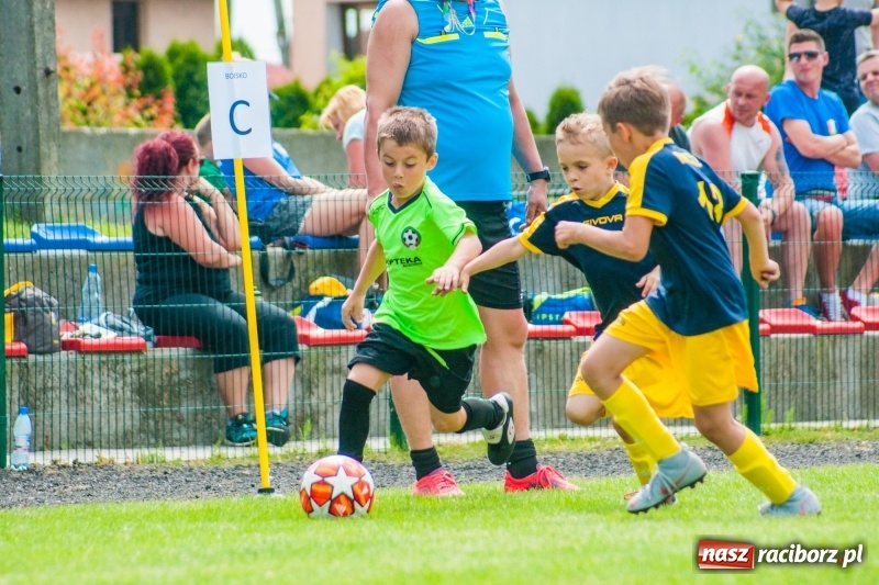 Zdjęcie w galerii na portalu naszraciborz.pl: Akademia Piłkarska GKS Jastrzębie zwycięzcą drugiego dnia Tworków Cup 2019 [FOTO] wiadomości z regionu