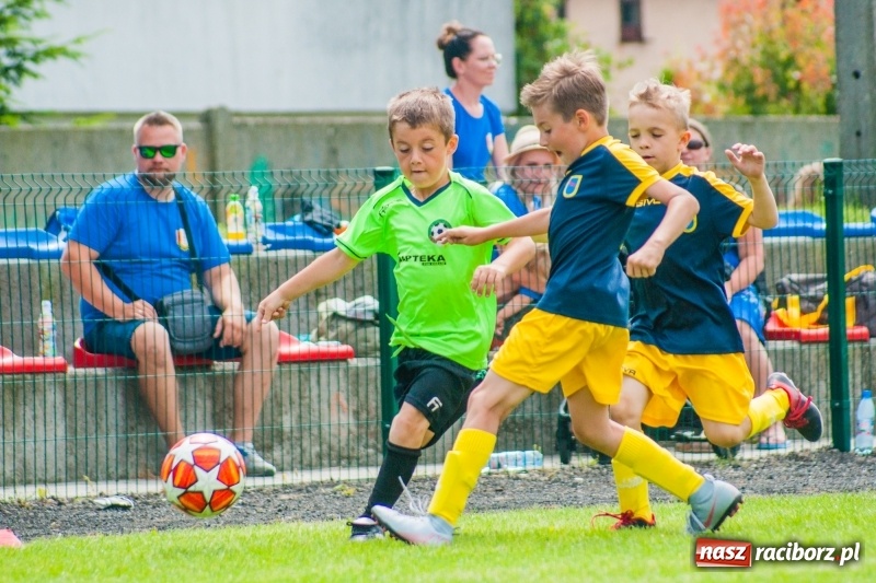 Zdjęcie w galerii na portalu naszraciborz.pl: Akademia Piłkarska GKS Jastrzębie zwycięzcą drugiego dnia Tworków Cup 2019 [FOTO] wiadomości z regionu